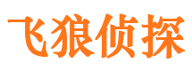 彭阳市私家侦探